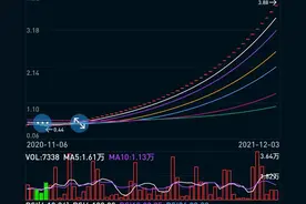世间罕见连续50个涨停板的公司图片