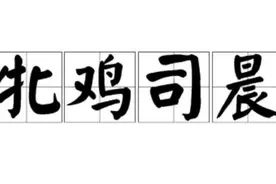 一天一成语:牝鸡司晨图片