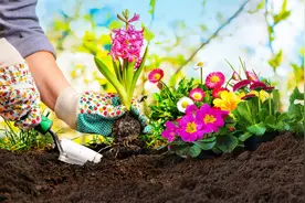 2023高考成语填空题必掌握的200个成语图片