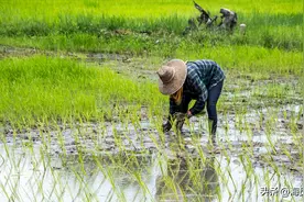 我，38岁海员，月薪71800元，因个子1米5，8次相亲无果，决定放弃图片