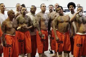 美国黑老大监狱生活：13名女狱警投怀送抱，为他产下5个儿女图片