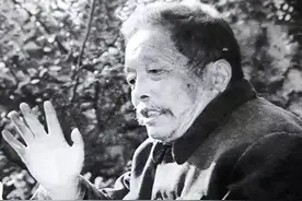 江苏民间医生以毒蛇试毒炼成秘药，却被日本人盯上，结果如何？图片