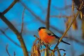 You are so yellow 千万别译成“你很黄”！这误会有点大！图片