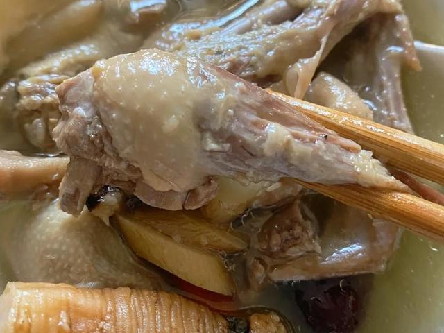 来大姨妈可以喝花胶墨鱼汤吗 2026年大姨妈期间可以喝花胶汤吗