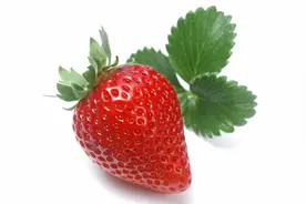 电气英语 C字头图片