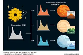 发现一个外星生命总共分几步？图片