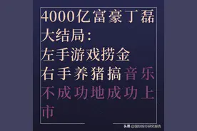 身价4000亿丁磊大结局：左手游戏捞金 右手养猪搞音乐图片
