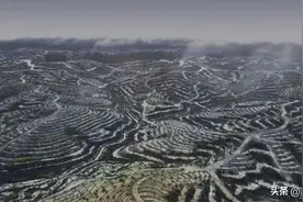 今年夏天到底有多热，北极可以为你见证图片