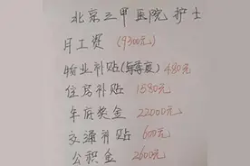 北京三甲护士工资单曝光：真相大白！图片