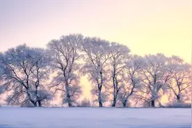 六首最美早安诗词：每一个清晨，都值得为之醒来图片