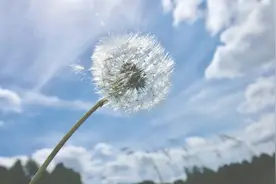 诗词丨一岁年龄一岁心，不负时光不负卿图片