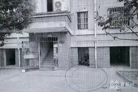 12岁孩子误操作电动三轮车撞倒5岁男孩，责任谁承担？图片
