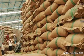 泰国2022年大米出口达769万吨！增长22.1%图片
