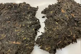 “金花”、“白霜”、“发霉”究竟有何异同？如何辨识区分？图片