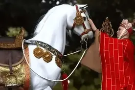 1997年白龙马受尽磨难惨死马棚，杨洁导演2次探望，为何不救它图片