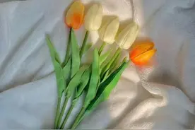 梦见和异性在“梦中相爱”，多半是这三个原因，男女都要懂图片