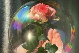 他条件不好、他不帅、他不高，但是他对我好图片