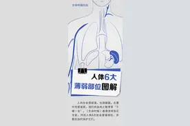 人体6大薄弱位置图解，伤到哪个都有「致命」风险图片