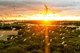 图看儋洋这一年②丨我们的绿水青山有多美？这组图告诉你↓图片