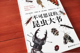 “虫界”的奥秘：那些我们视而不见的存在，竟是如此地不可思议图片