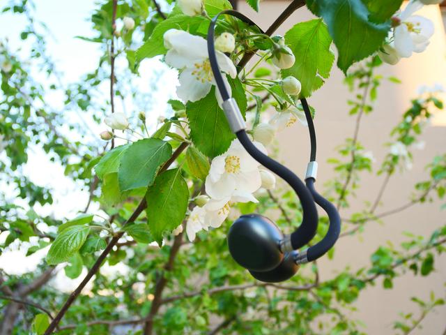 ����װ�������Ƽ����������ֵ�10�����������������������嵥