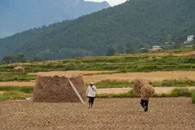 农村老人说：“搬家三不搬，搬了福气散”，啥意思？搬家有啥讲究图片