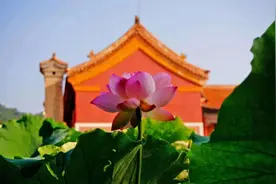 八一建军节——河北多家景区推出免票等优惠政策图片