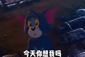 表情包‖《猫和老鼠》陷在爱情里的汤姆和杰瑞，纯纯恋爱脑图片