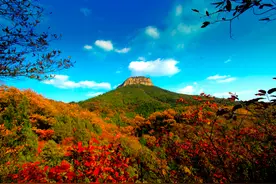 兰陵，文化与风景的双重滋养——读眉凌文化《兰陵留香》图片