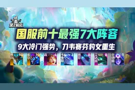 国服前十：王者最强7大阵容与9大冷门强势，刀韦赛芬豹女重生图片