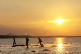 赶海怎么玩？这份攻略告诉你图片