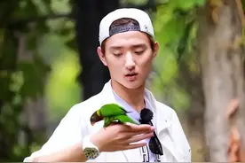 娱乐圈“巨婴”明星们：脏衣服打包回家给老婆洗，为歌单下车大吵图片