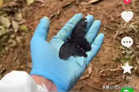 泪崩！关于MU5735东航失事后的一些戳心字眼和画面图片