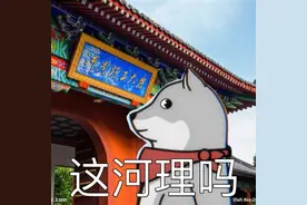 现在的4G比5G还快？深挖4G网速越变越快的秘密图片