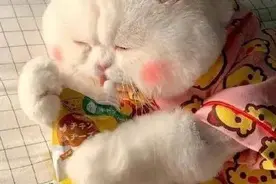 表情包｜该吃吃，该喝喝，遇事别往心里搁图片