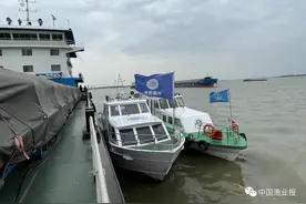 长江润州段开展禁捕执法行动图片