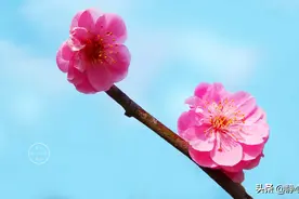 不能到达目标，往往因为不够坚持图片