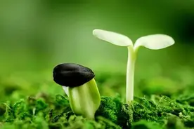 全球15000多枚核弹同时引爆，地球生物会灭绝吗？能摧毁地球吗？图片