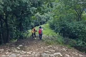 推荐天津徒步线路密林穿越，山脊路，上到半山腰穿越一座山洞图片