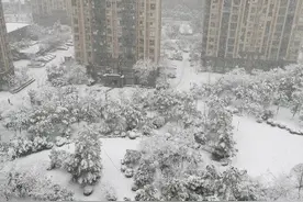 南方暴雪真的来了！黑色暴雪区覆盖3省，南方降雪量比北方还大图片