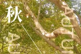 崇明街头这道美味，小小一颗谁能拒绝？图片