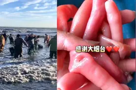 烟台海肠爆发有人一晚捞上千斤，海肠是怎么想的为何要争着上岸？图片