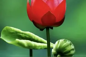 今年孙辈上大学，爷爷奶奶给多少钱合适，可按这几种情况决定图片