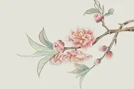 诗词丨但愿余生无波澜，所念之人皆平安图片