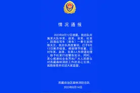 西藏森林消防通报“酒驾事件”：辞退3人，行政警告处分1人图片