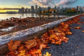 加拿大温哥华最低时薪终于要涨到16.75元了图片