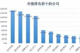 重磅！安徽上市公司市值排名TOP10出炉！图片