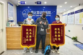 猫咪真的有9条命？跳楼都不会受伤？图片