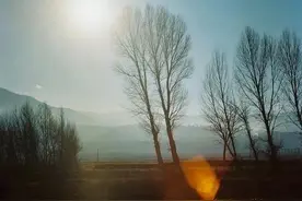 海子——面朝大海，春暖花开图片