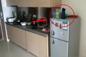老电工提醒：冰箱上别放这3样东西，费电还影响寿命图片